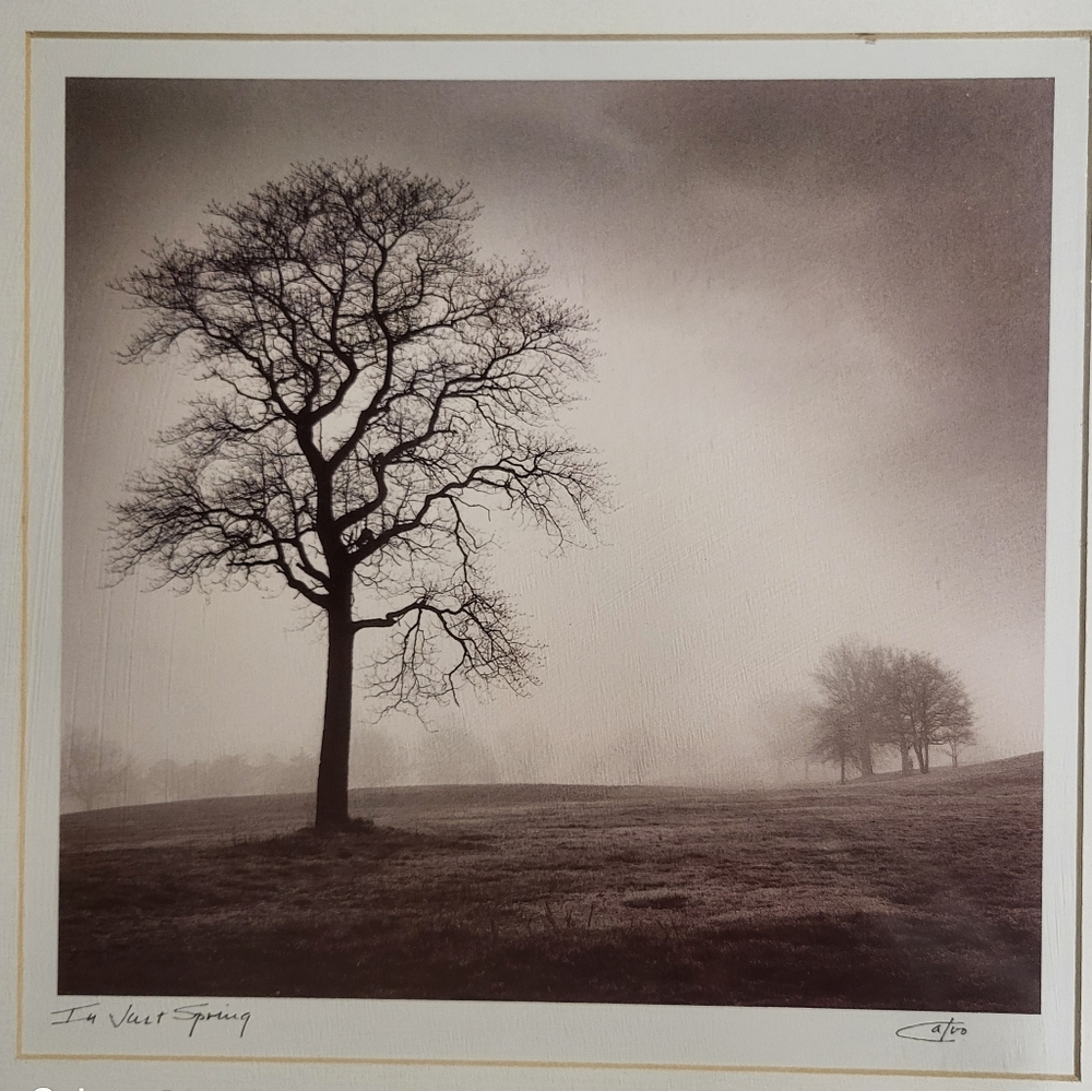 Framed Signed Print - Picture 2 of 9